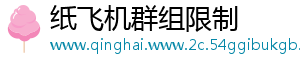 纸飞机群组限制